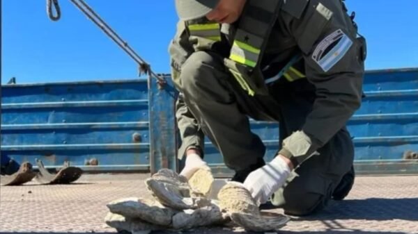 Imagen de WhatsApp 2023 03 18 a las 09.56.21