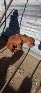 720 2023 08 07T120854.347