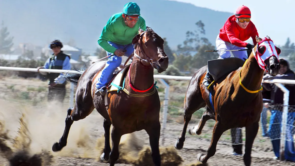 turf hipódromo