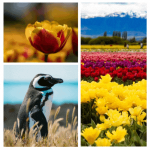 Turismo Chubut