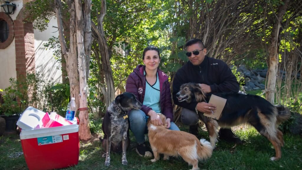 FB IMG 1771598197264